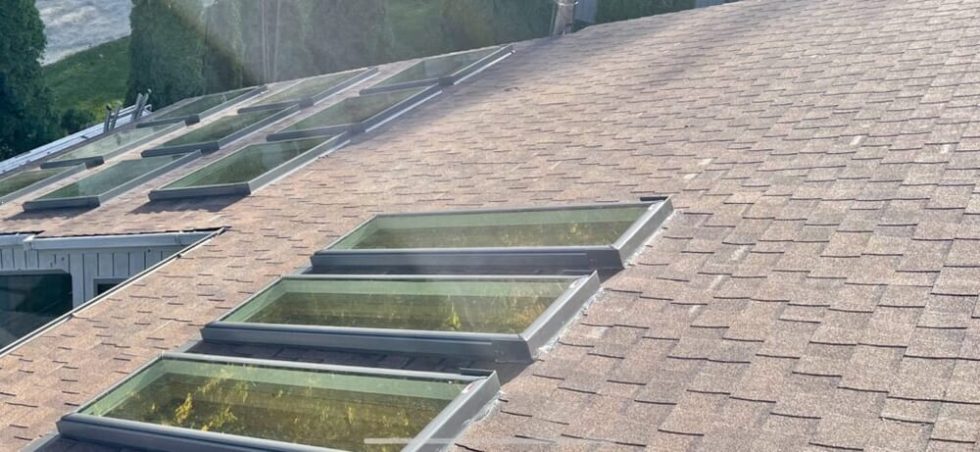 Chris Battaini Roofing - Four rectangular skylights are installed on a brown shingle roof with sunlight reflecting off the glass, and trees visible in the background.