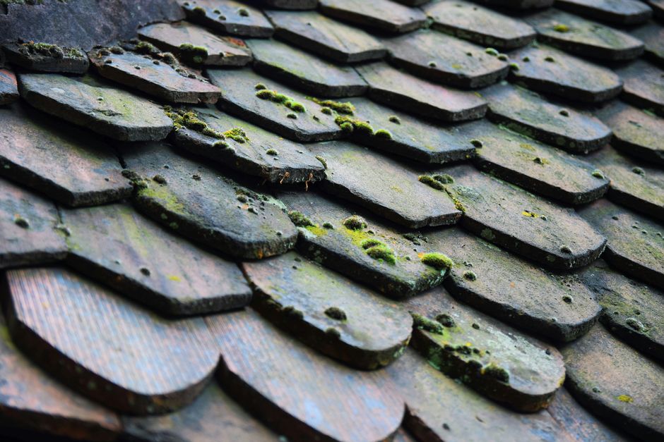 Don’t Get Roofed Over: Knowing When to Replace Your Shingles